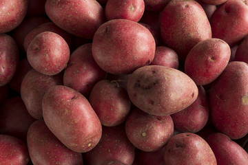 Raw Organic Red Potatoes