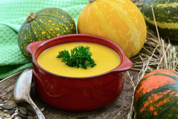 Kürbissuppe in Suppentasse / Zierkürbisse / Foodstyling / Halloween 