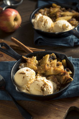 Homemade Sauteed Cinnamon Sugar Apples