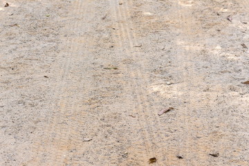  tracks in the sand. Textured background.