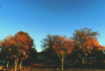 Naklejka premium Fall Weather