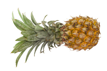 Single yellow Ripe Pineapple on white backgroup