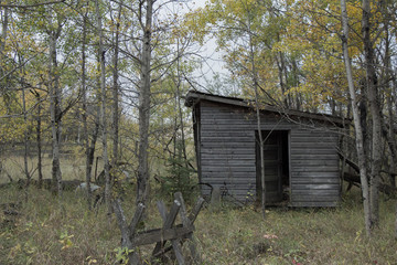 Abandoned Shed