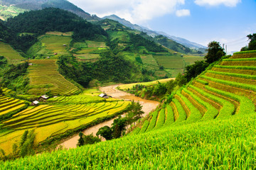 Fototapeta premium Rice fields on terraced of Mu Cang Chai, YenBai, Vietnam. Rice fields prepare the harvest at Northwest Vietnam.