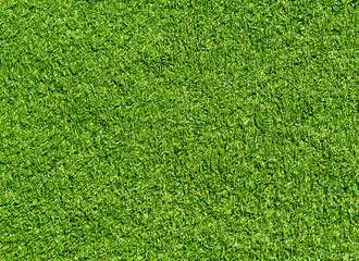 Obraz premium Decorative green grass loan texture. Sport and leisure.