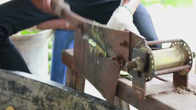 Hand slicing a quince fruit with a traditional knife for dry, close up, HD 1080P