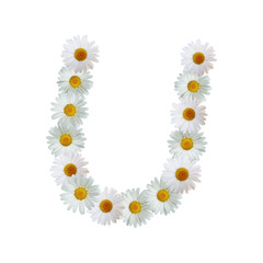White Daisy Letter U Upper Case