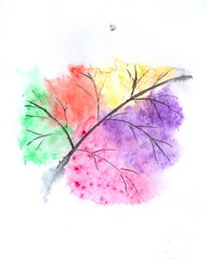 Colorful leaf on white, watercolor illustrator