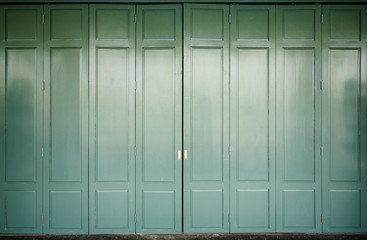 Wooden door with green color