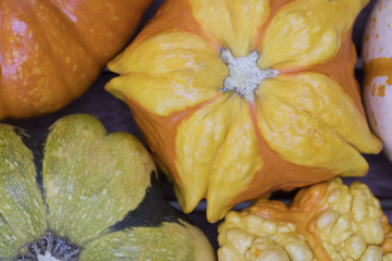 Close up of Autumn Gourd