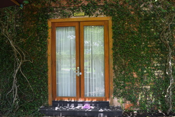 brick window with green vines in countryside