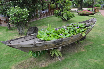 landscaping garden with flowers on wooden boat