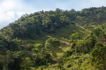 Fototapeta na wymiar Landscape view of Chiang dao mountain area, Chiang mai, Thailand