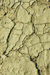 ひび割れた土