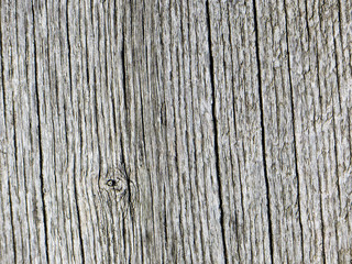 Obraz premium Wooden texture