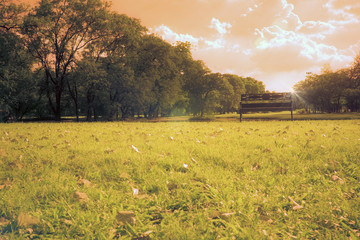 Obraz premium infrared photo, Park bench