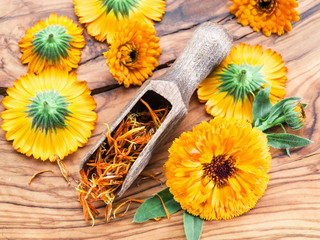 Calendula flowers on the old wooden table.