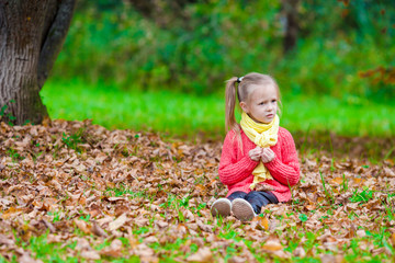 Adorable little girl with autumn leaves in the beautiful park