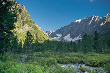 Mountain river in the Altai, Russia