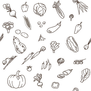 Hand-drawn seamless doodles pattern with different vegetables: tomato, onion, pumpkin, potatoes, cabbage etc. Harvest repeated background. Line art