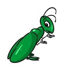 Insect Green Cricket cartoon illustration isolated image character
