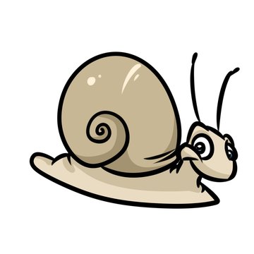Snail cartoon illustration isolated image animal character 
