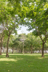 Public green park
