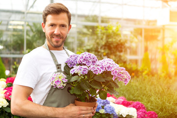 Young attractive man working at the plants nursery