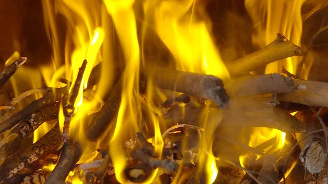 A bonfire burning in the dark night