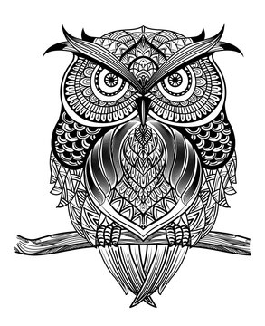 Vector hand drawn Owl sitting on branch. Black and white zentang