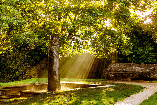 The sun burning off the pond in Kingsgate this morning