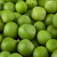 Young grean peas background