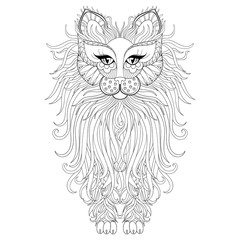 Fluffy Cat, zentangle style. Freehand sketch for adult antistres