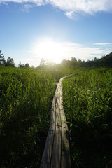 Vertical shot of boardwalk path on mountain plateau