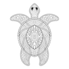 Turtle in zentangle style. Freehand sketch for adult antistress