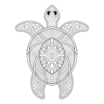 Turtle in zentangle style. Freehand sketch for adult antistress