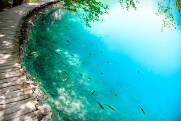 Transparent water in lakes of Plitvice - 121631630