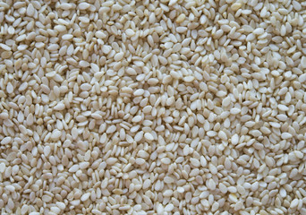 семена кунжута текстура. кунжут зерна 