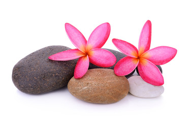 Obraz na płótnie Canvas stones with frangipani flower isolated on white