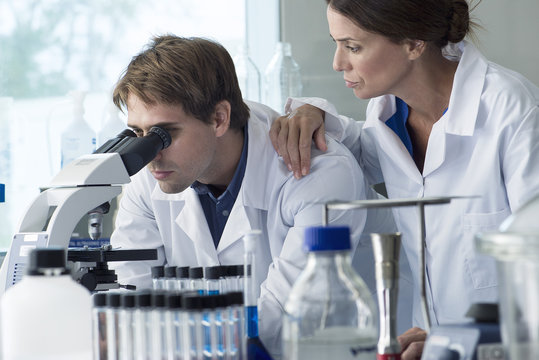 Scientists working in laboratory