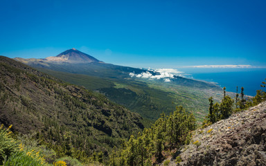 Teneriffe Teide