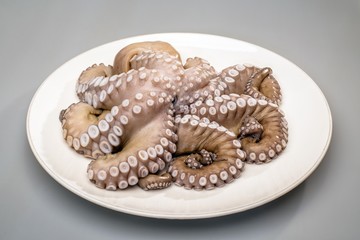 Fresh octopus on white plate on gray background