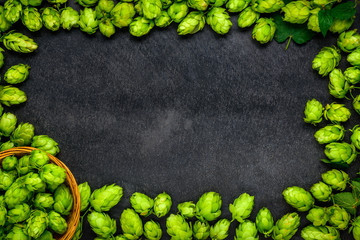 Hops and Hop flowers as Copy Space Area Frame