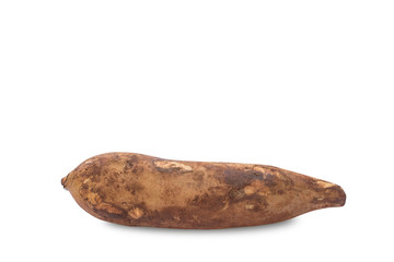 Yacon fruit isolate on white background