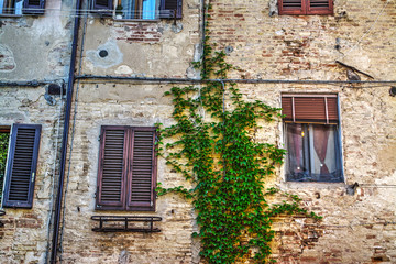 Fototapeta na wymiar windows in a rustic wall in Tuscany