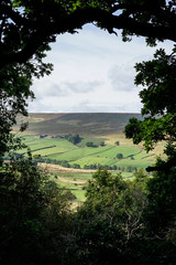 North York Moors through branches