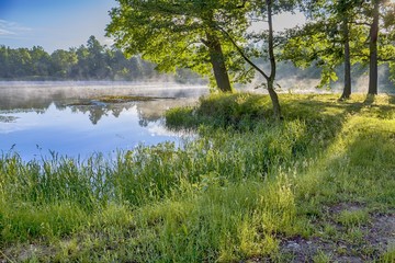 Lake at dawn