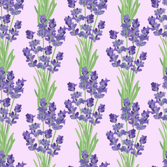 Seamless pattern with lavender flowers.