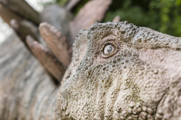 Great life-size figures stegosaurus.