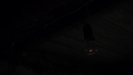 Flashing lightbulb In the old basement of the house - Powered by Adobe